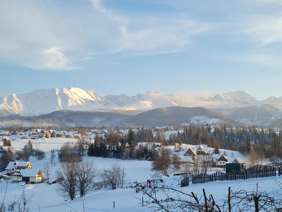 Villa Dorota Zakopane Eksteriør billede