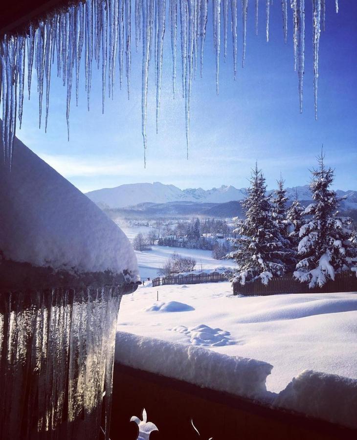 Villa Dorota Zakopane Eksteriør billede