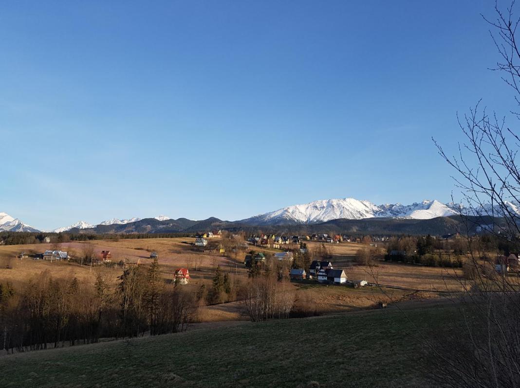 Villa Dorota Zakopane Eksteriør billede